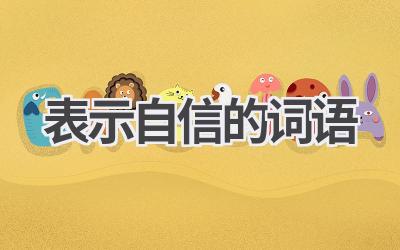 表示自信的词语