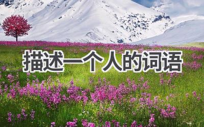 描述一个人的词语