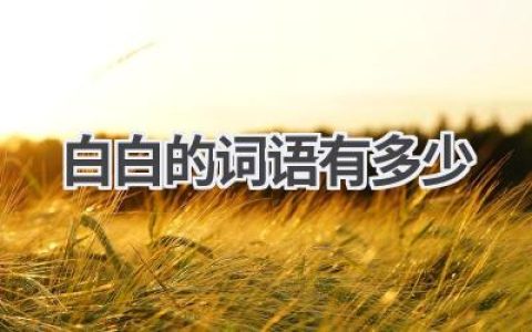 白白的词语有多少