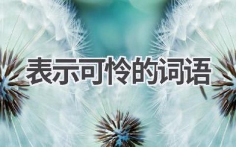 表示可怜的词语