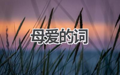 母爱的词