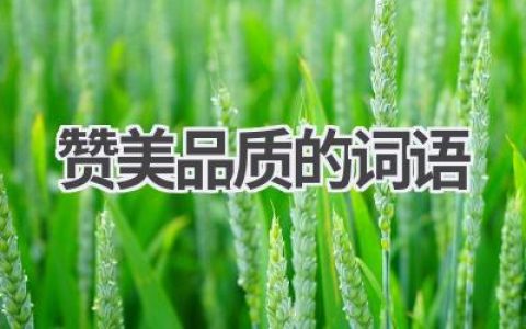 赞美品质的词语
