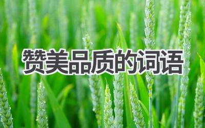 赞美品质的词语