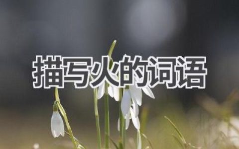 描写火的词语