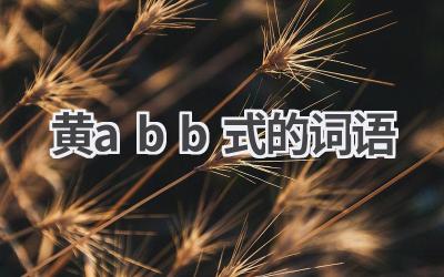 黄abb式的词语
