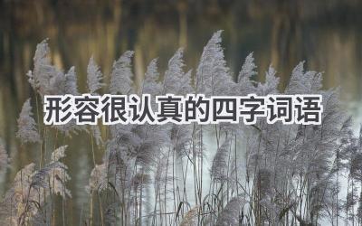 形容很认真的四字词语