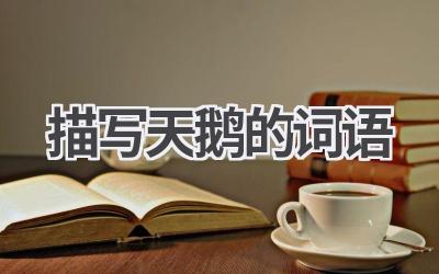 描写天鹅的词语