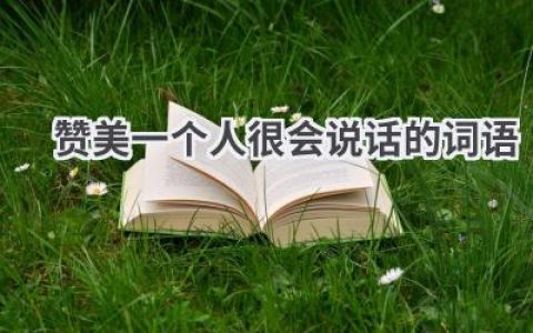 赞美一个人很会说话的词语
