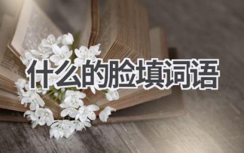 什么的脸填词语