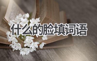 什么的脸填词语