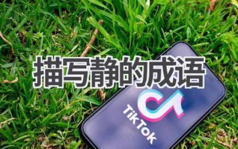 描写静的成语