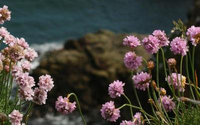 表示官职升迁的词