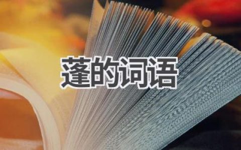 蓬的词语
