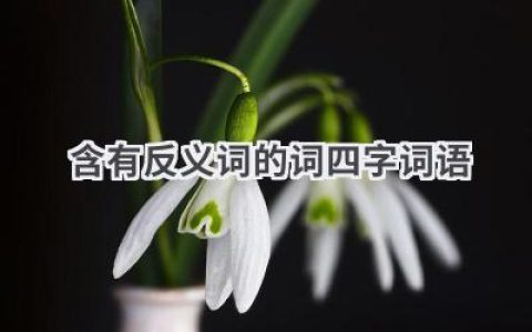 含有反义词的词四字词语