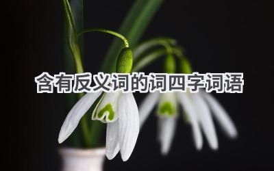 含有反义词的词四字词语