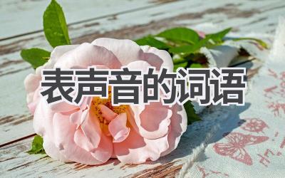 表声音的词语