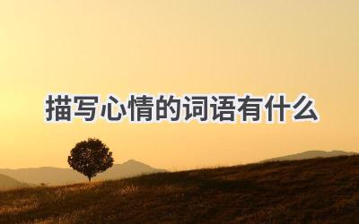 描写心情的词语有什么
