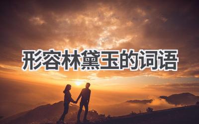 形容林黛玉的词语