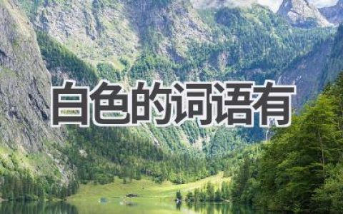 白色的词语有