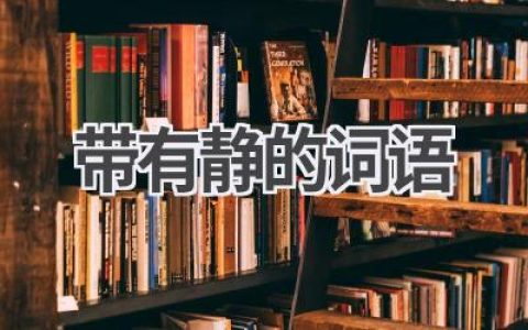 带有静的词语