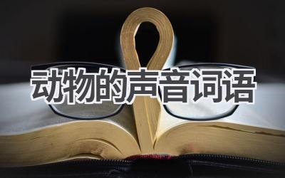 动物的声音词语