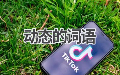动态的词语