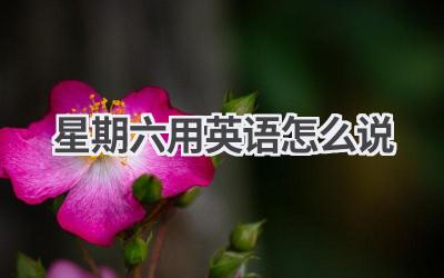 星期六用英语怎么说