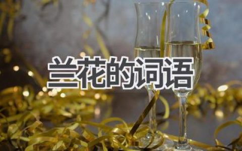 兰花的词语