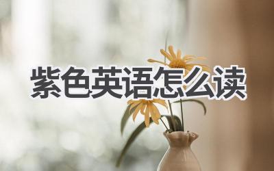 紫色英语怎么读