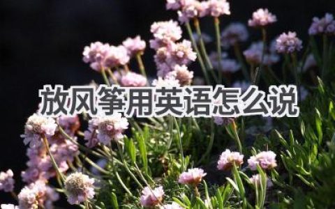 放风筝用英语怎么说