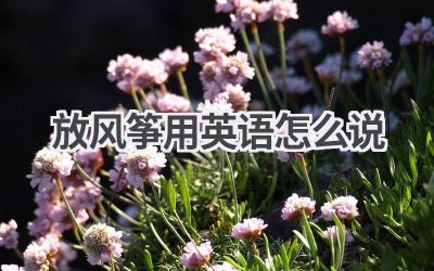 放风筝用英语怎么说