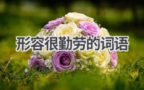 形容很勤劳的词语