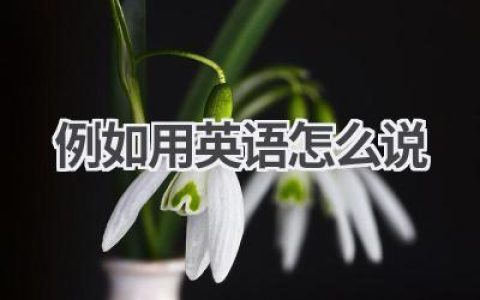 例如用英语怎么说