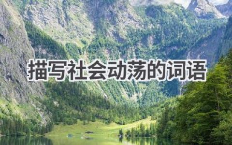 描写社会动荡的词语