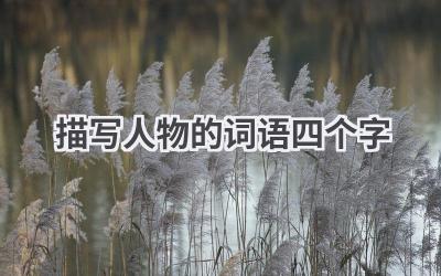 描写人物的词语四个字