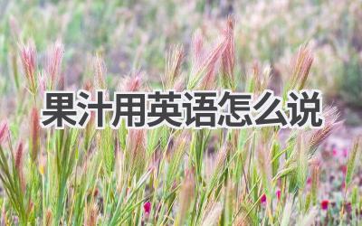 果汁用英语怎么说