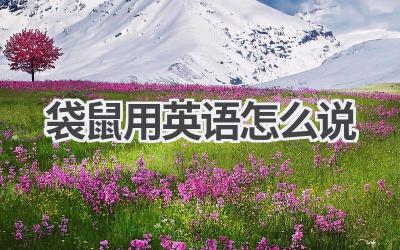 袋鼠用英语怎么说