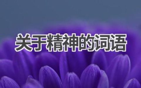 关于精神的词语
