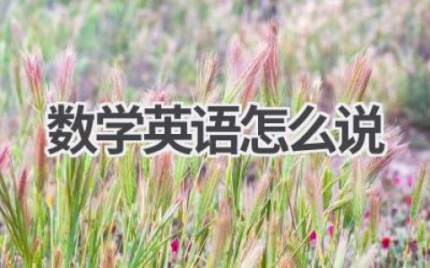 数学英语怎么说