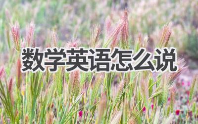 数学英语怎么说