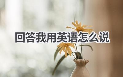 回答我用英语怎么说