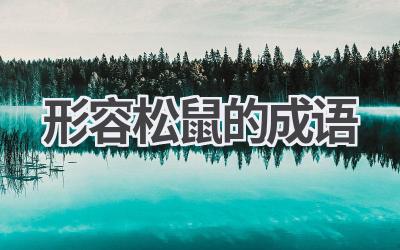 形容松鼠的成语