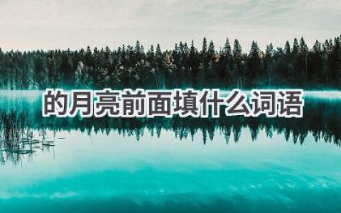 的月亮前面填什么词语