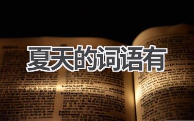 夏天的词语有