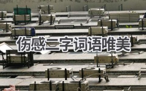 伤感二字词语唯美