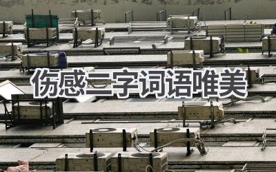 伤感二字词语唯美