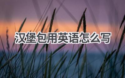 汉堡包用英语怎么写