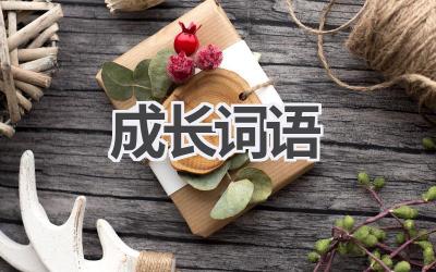 成长词语