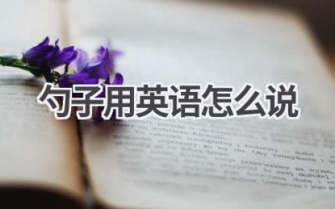 勺子用英语怎么说