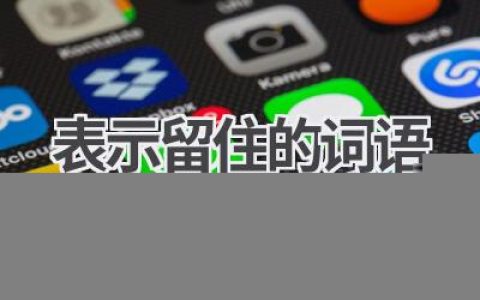 表示留住的词语